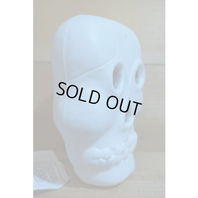 画像7: BLINKY GLOW LITE