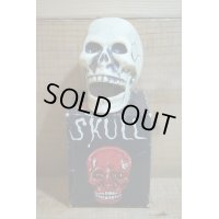 SKULL ゼンマイ
