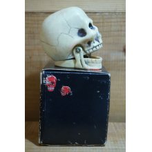 他の写真3: SKULL ゼンマイ