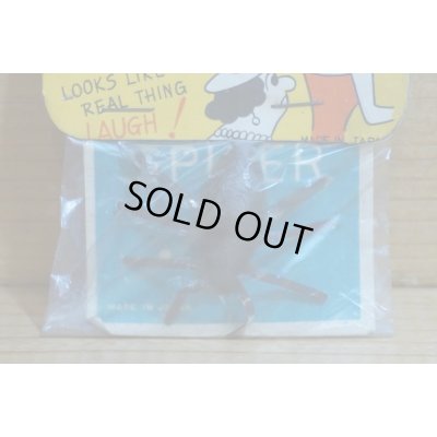 画像2: BLACK WIDOW SPIDER