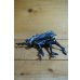 画像1: ARACHNID  ALIEN ※loose (1)