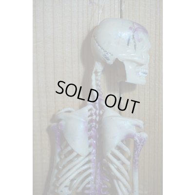 画像8: RUBBER SKULL【H】