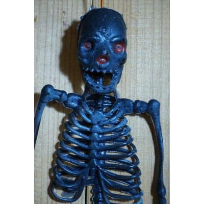 画像4: RUBBER SKULL【G】