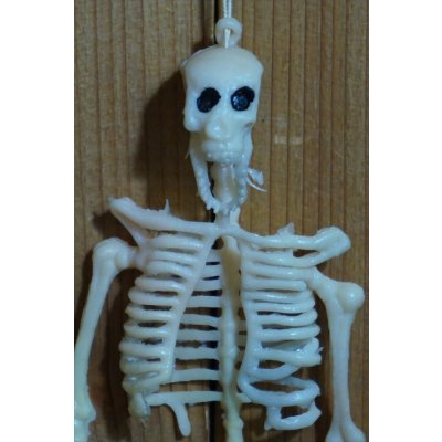 画像4: ラバー ガイコツ チープトイ【A】