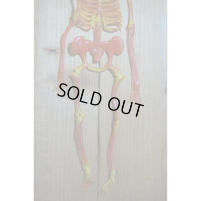 画像5: RUBBER SKULL【E】