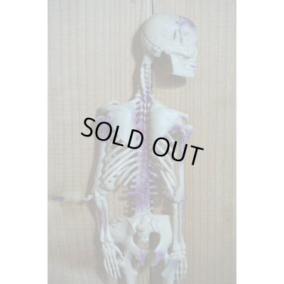 画像6: RUBBER SKULL【H】