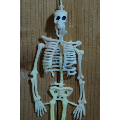 画像3: ラバー ガイコツ チープトイ【A】