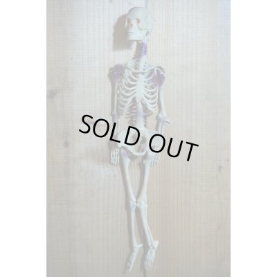 画像5: RUBBER SKULL【H】