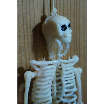 画像6: ラバー ガイコツ チープトイ【A】