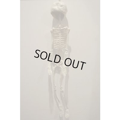 画像6: RUBBER SKULL【I】