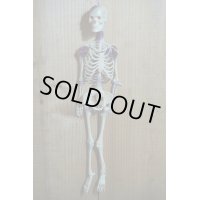 RUBBER SKULL【H】
