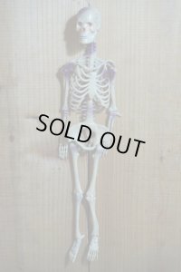RUBBER SKULL【H】