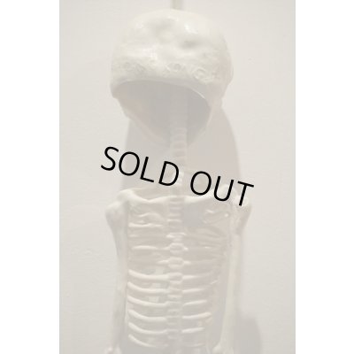 画像8: RUBBER SKULL【I】