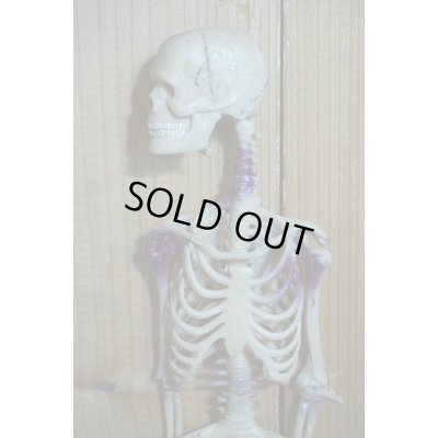 画像7: RUBBER SKULL【H】