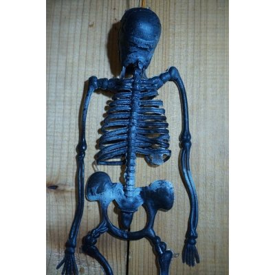 画像5: RUBBER SKULL【G】