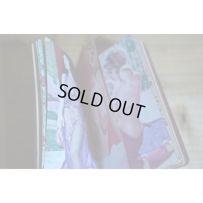 画像5: 大人の秘密手帳【A】