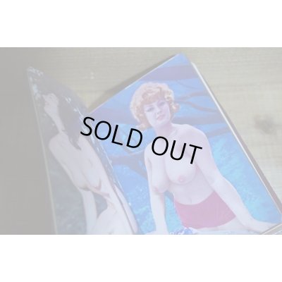 画像4: 大人の秘密手帳【A】