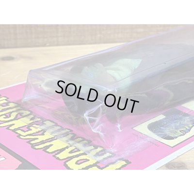 画像7: AHI FRANKENSTEIN 