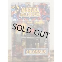 MARVEL HALL OF FAME