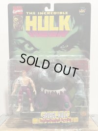 SAVAGE HULK