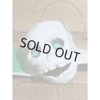 Rubber Skull Bat【C2】