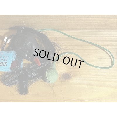 画像5: SHRUNKEN HEAD【D】