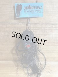 SHRUNKEN HEAD【C】