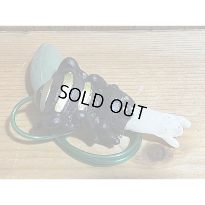 画像4: クモのヌード出し【C】