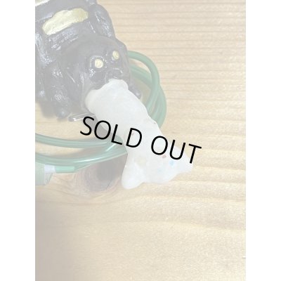 画像3: クモのヌード出し【C】