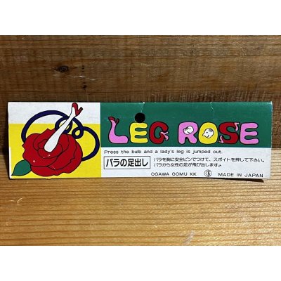 画像7: クモのヌード出し【D】