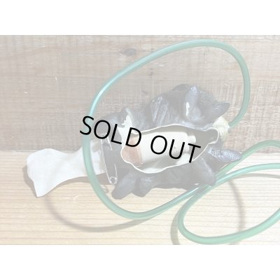 画像5: クモのヌード出し【D】