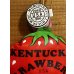 画像3: KENTUCKY STRAWBERRY 空ビ人形 (3)