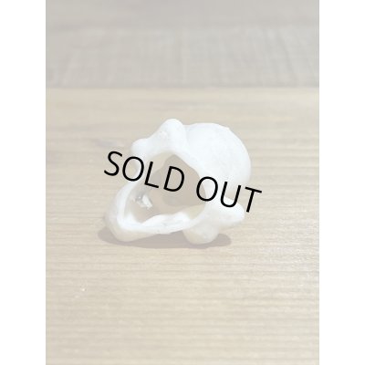 画像3: スカル&バグ ミニソフビ