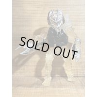 INVISIBLE PREDATOR ※mail offer ltd