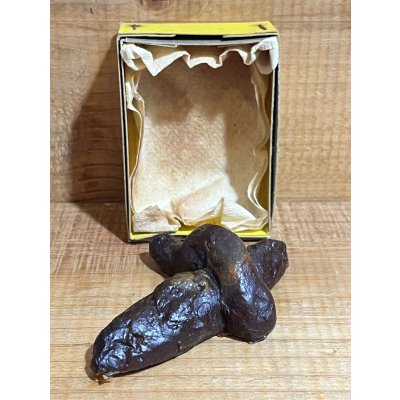 画像1: 箱入 ゴム製 ウン〇【A】