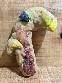 ゴム製 ウン〇【H】