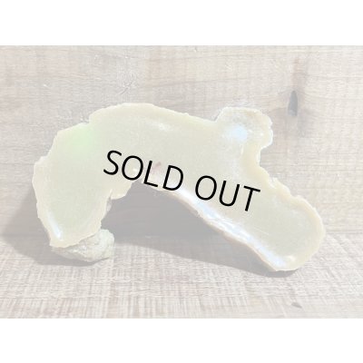 画像4: ゴム製 ウン〇【H】