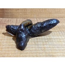他の写真3: 箱入 ゴム製 ウン〇【B】