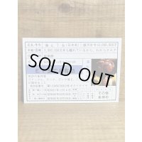 E.T. 免許証【A】