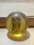 MONSTER Super Ball【G】