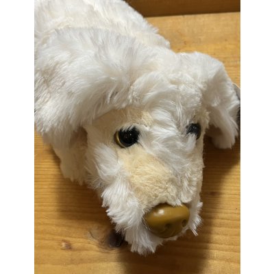 画像3: Falcor Plush