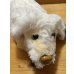画像3: Falcor Plush (3)