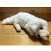 画像9: Falcor Plush (9)
