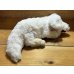 画像10: Falcor Plush (10)