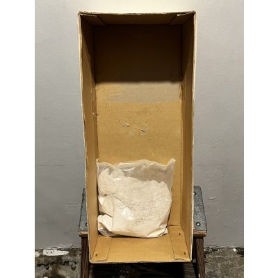 画像5: 1/6 SCALE TERROR DOG