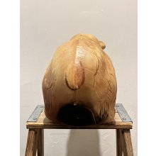 他の写真2: BOP-A-BEAR ※loose