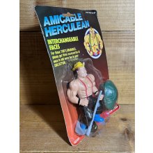 他の写真3: AMICABLE HERCULEAN