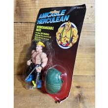 他の写真1: AMICABLE HERCULEAN