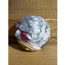 他の写真1: ホラーボール【b2】