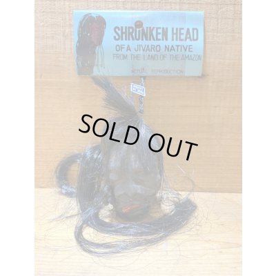 画像1: SHRUNKEN HEAD【E】